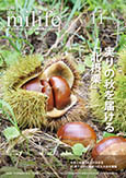 「広報かわにしみらいふ」今月の主な記事