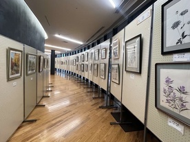きせらホール1階にて活動発表の展示風景の写真
