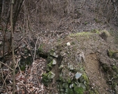 炭焼窯跡の写真