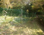 防鹿柵の写真