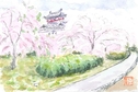 お城の桜