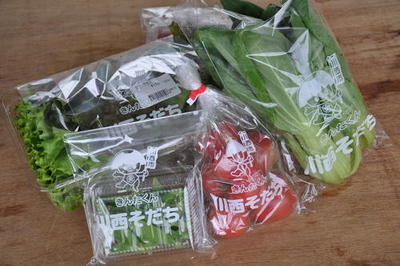 きんたくん防曇袋と川西産の野菜