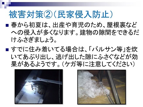 被害対策2（民家侵入防止）春から初夏は、出産や育児のため、屋根裏などへの親友が多くなります。建物の隙間をできるだけふさぎましょう。すでに住み着いている場合は、「バルサン」などを炊いてあぶり出し、逃げ出した隙にふさぐなどが効果があるようです。（ケガなどに注意してください）