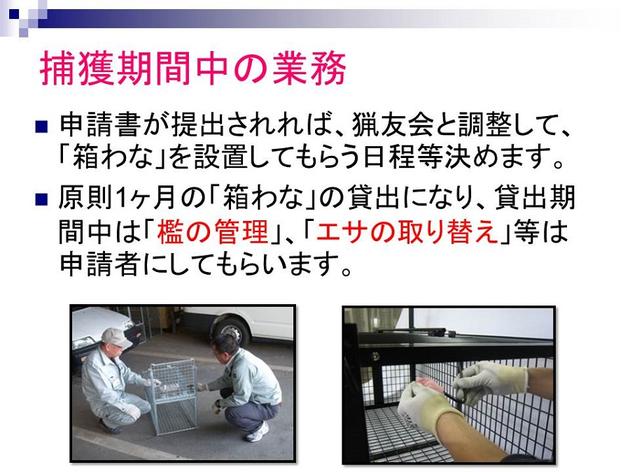 捕獲期間中の業務。申請書が提出されれば、猟友会と調整して、「箱わな」を設置してもらう日程などを決めます。原則1カ月の「箱わな」の貸出になり、貸出期間中は「檻の間来」、「エサの取り換え」などは申請者にしてもらいます。