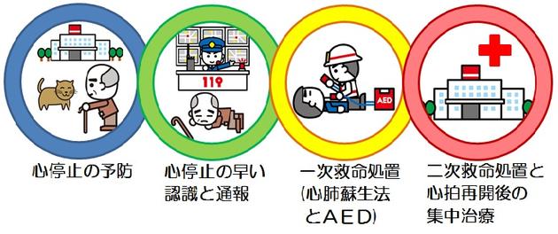 心停止の予防　心停止の早い認識と通報　一次救命処置（心肺蘇生法とAED）　二次救命処置と心拍再開後の集中治療