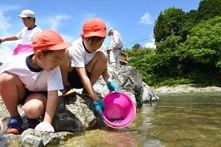 アユの放流の様子