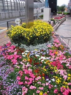 シャンテ花倶楽部の写真