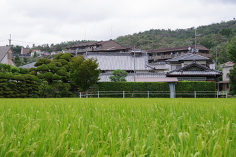 薮内邸の写真