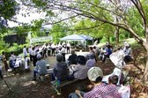 活動写真