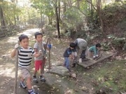 活動写真