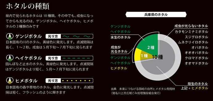 ホタルの種類の説明図