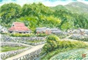 日本の原風景の里山