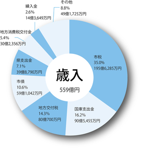 歳入の円グラフ