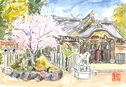 小戸神社の桜