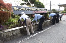 植え替え作業の様子