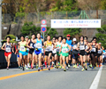 写真：第33回川西一庫ダム周遊マラソン大会