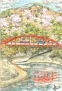 円山大橋と山桜