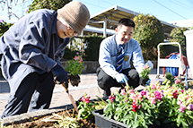 JR川西池田駅前ロータリーで花壇の花の植え替えを実施