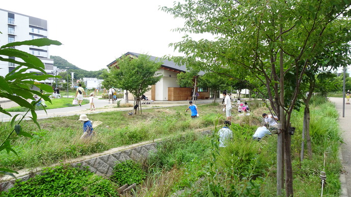 7月せせらぎ水路清掃の様子