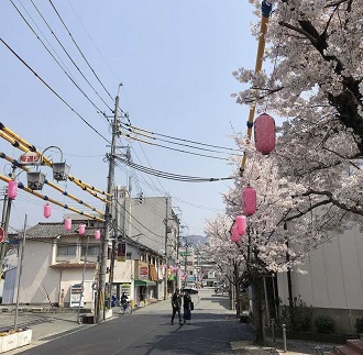 源氏まつりを待つ4月の風景（w0005）