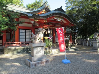 11月の鴨神社（七五三）（w0029）