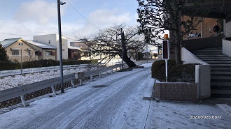 雪の道（w0055）