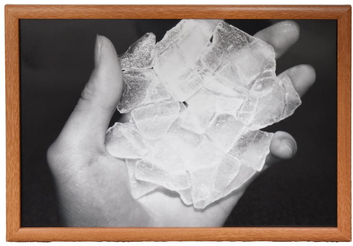 U18写真の部の一席の写真