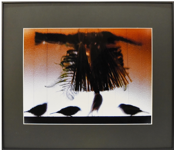 写真の部一席の写真