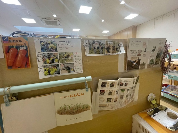 川西こども園4歳児の保育室における野菜に関する展示