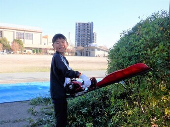 剪定作業の様子1