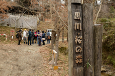 黒川・桜の森の入り口