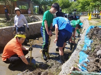 水路清掃の様子