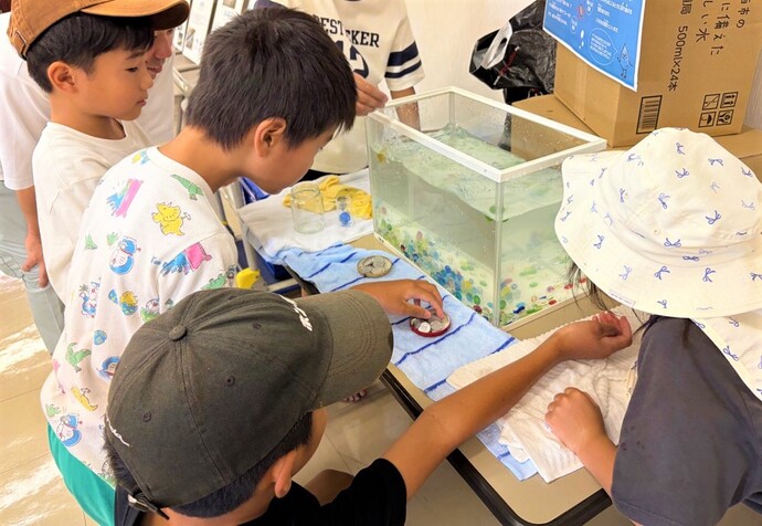 水中コインおとしの写真
